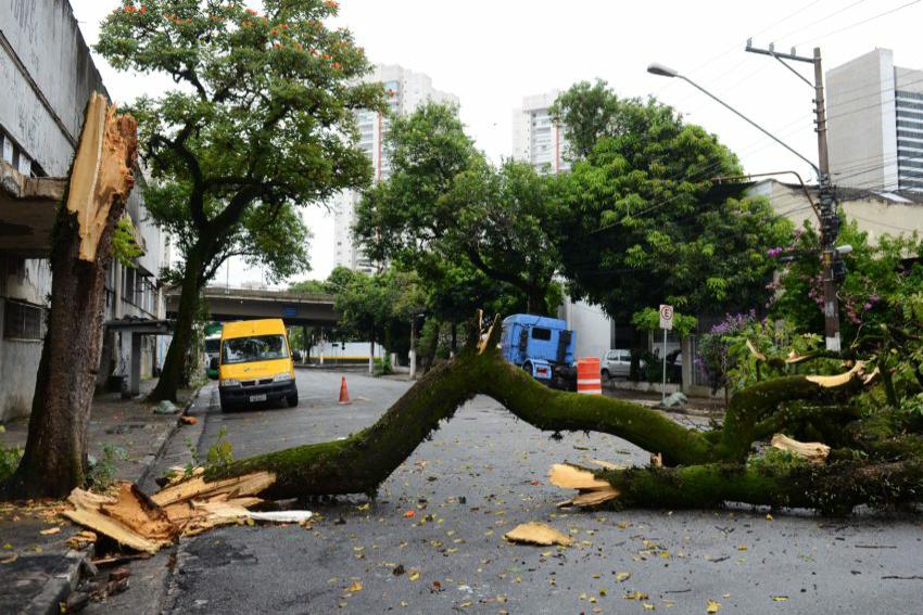 São Bernardo registra 81 acidentes nas chuvas de verão