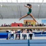 ginástica