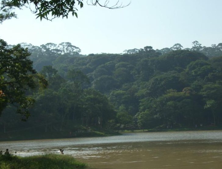 Homem morre afogado na Represa Billings, em São Bernardo