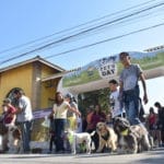 Pet’s Day