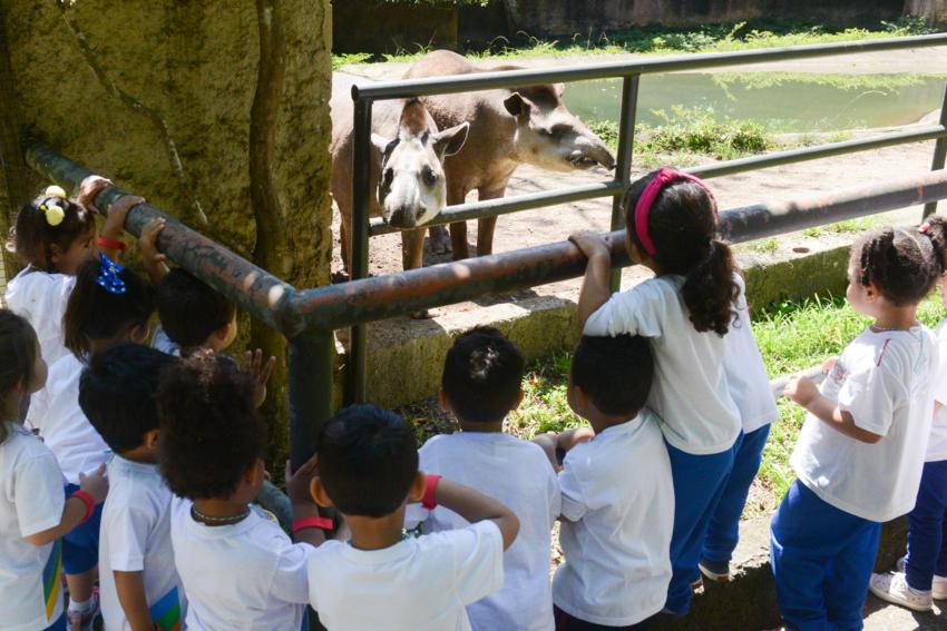 Zoológico Municipal de São Bernardo resgata 480 animais debilitados