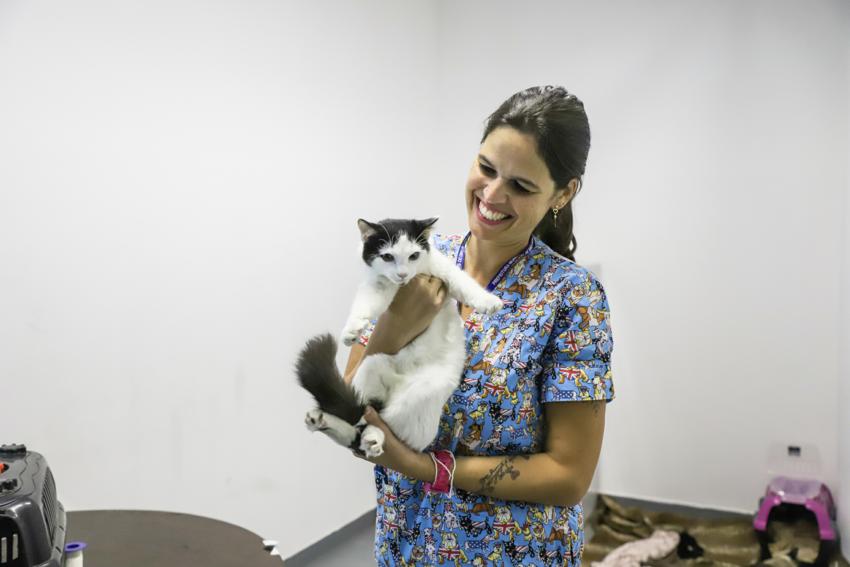 S.Caetano castra 15 gatos em mais uma ação de saúde e bem-estar animal
