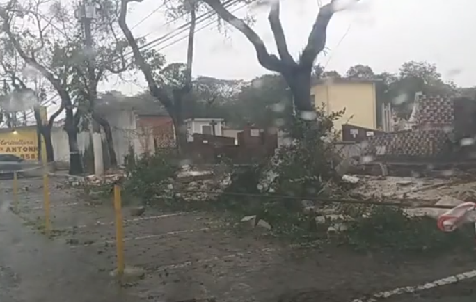 Chuvas provocam queda de muro de cemitério em Santo André