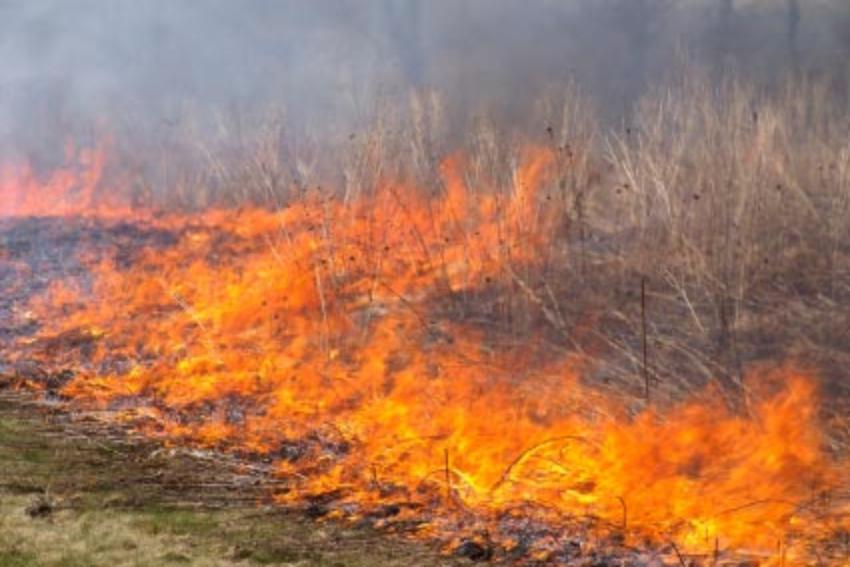 Spmar inicia ação de combate às queimadas no Rodoanel