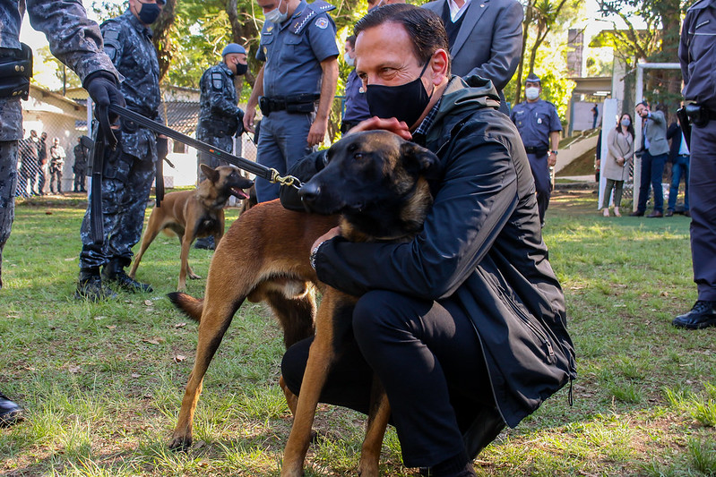 Doria recebe novos cães policiais da Europa