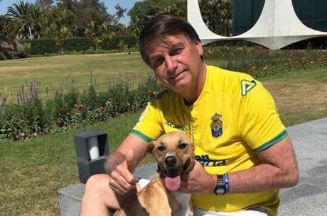 Bolsonaro sanciona lei que aumenta pena para maus-tratos a cães e gatos