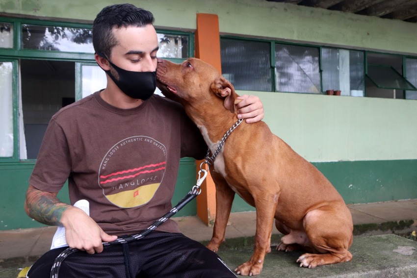 Após dois anos de espera, pitbull ganha nova família em Santo André