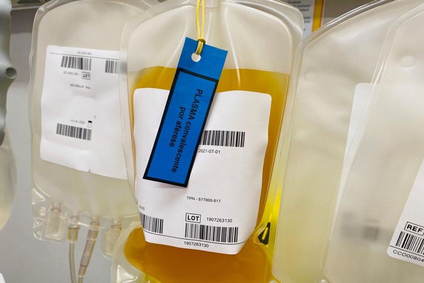 SP cria rede de transfusão de plasma para tratamento de doentes com Covid