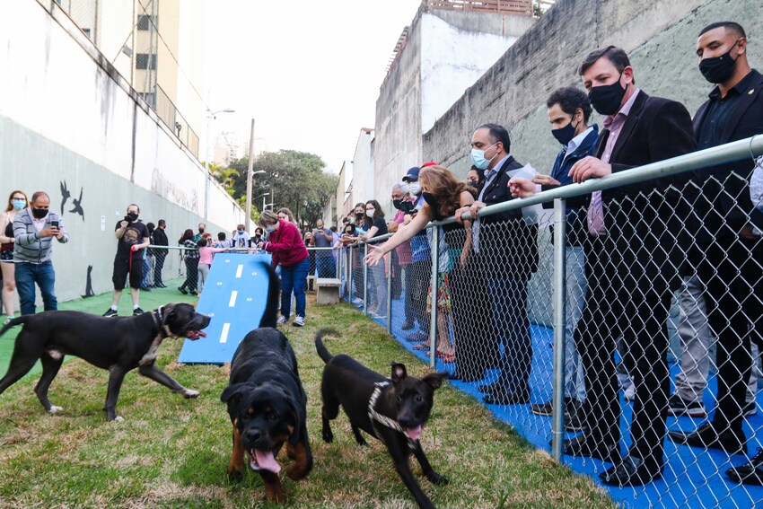 São Bernardo lança programa Viela Pet Parque no Rudge Ramos