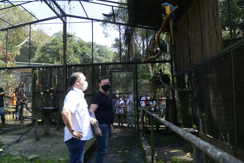 Em São Bernardo, Zoológico do Parque Estoril é reaberto ao público