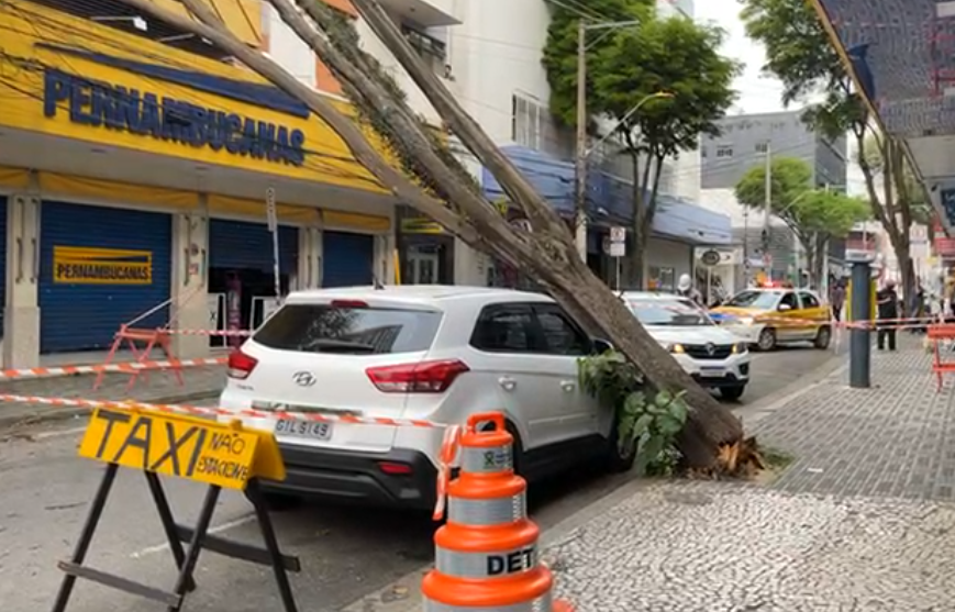 Ventania forte causa estragos nas cidades de Santo André e São Bernardo