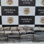 apreensão de drogas