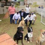 espaço pet