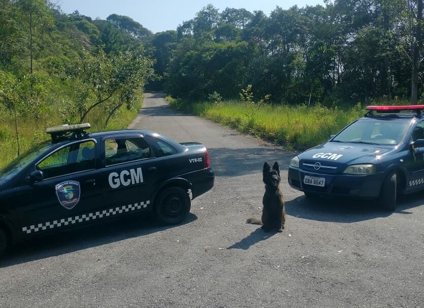 GCM de Rio Grande da Serra encontra o corpo de uma mulher na Vila Verde