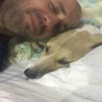 cachorra pandora