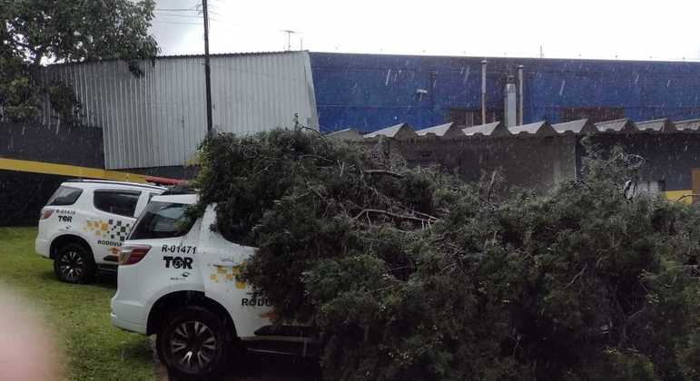Vídeo: Árvore cai sobre 2 viaturas da PM durante temporal em S.Bernardo