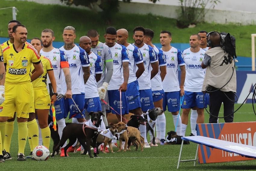 Jogadores do Santo André em campo com cães