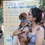 cachorro adotado