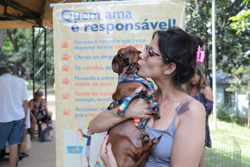 Cães e gatos ganham novo lar em feira de adoção em Santo André