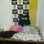 drogas apreendidas
