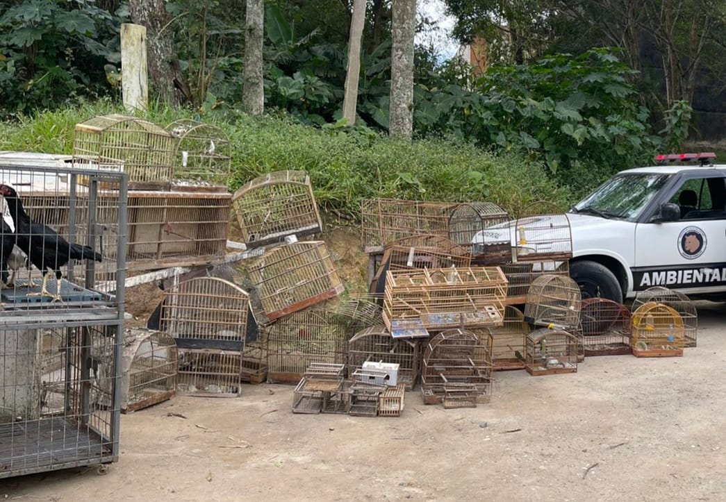 Equipe Ambiental de Ribeirão Pires apreende pássaros em cativeiro ilegal