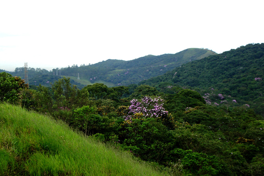 Semasa promove trilha ambiental no Parque do Pedroso neste sábado
