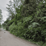 Estrada Nícola Imparato