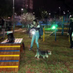pet park