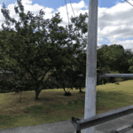 Avenida Antônia Rosa Fioravante,