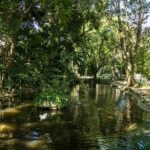 escola de ecologia de São Caetano