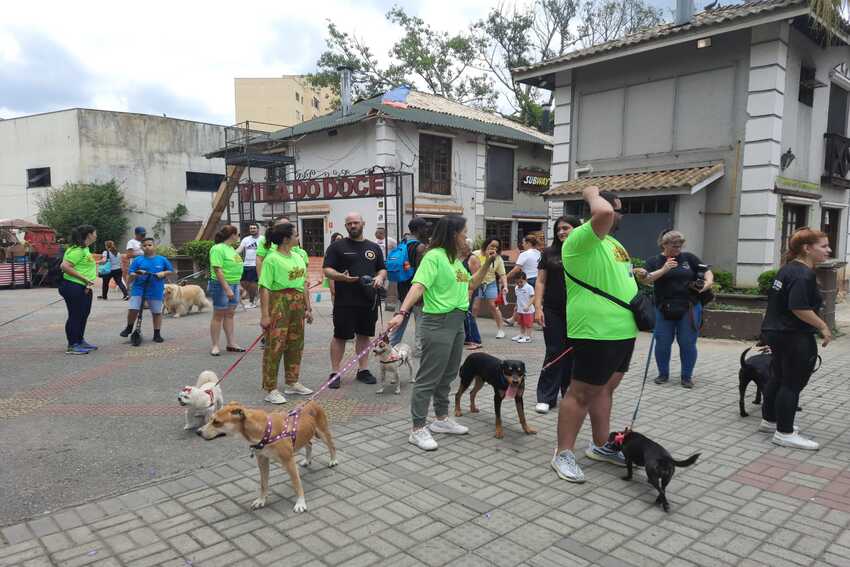 Pet Fest, evento destinado a tutores e seus animais, agita Ribeirão Pires