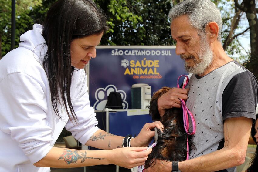 castração de cachorro em São Caetano