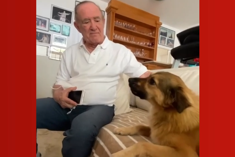Vídeo: Renato Aragão recebe alta e sua cachorrinha faz ‘festa’ ao vê-lo chegar em casa