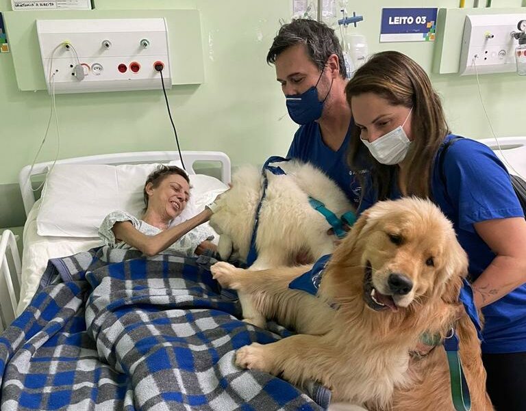 cães com pacientes oncológicos