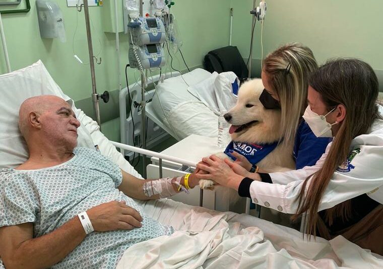 cão com paciente oncológico