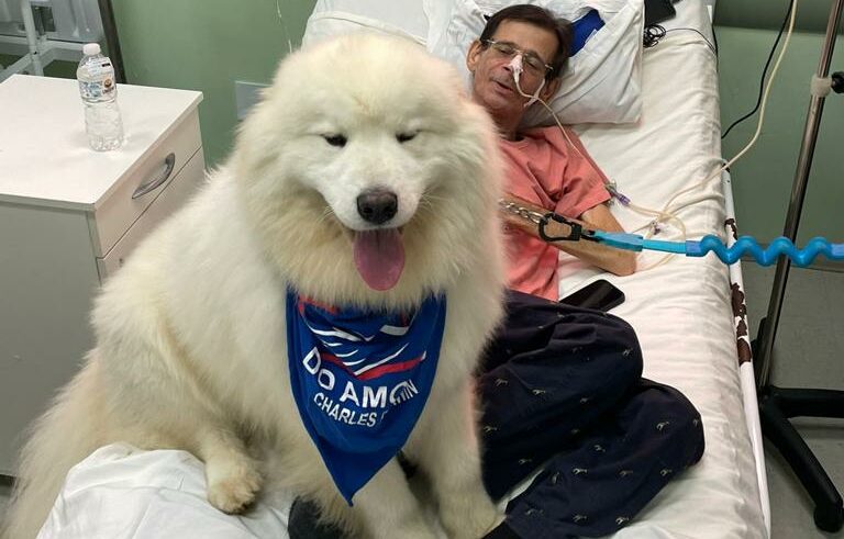 cachorro com paciente com câncer