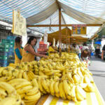 barraca de banana na feira