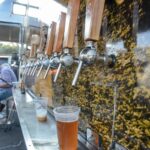 BeerFest