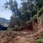 corte de árvore e movimentação de terra irregulares