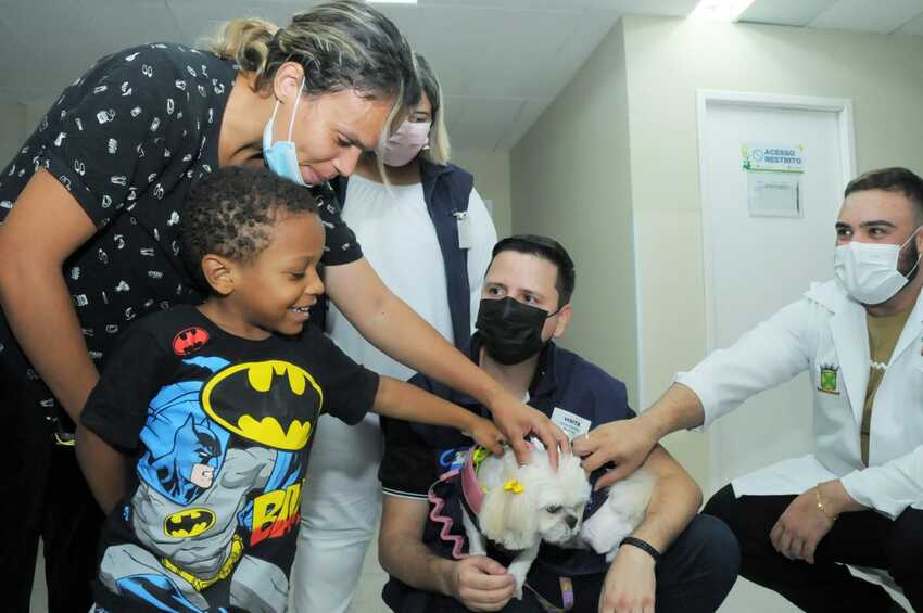 Vídeo: crianças internadas em Santo André recebem visita de cães