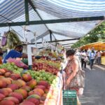barraca de frutas em feira livre de Diadema