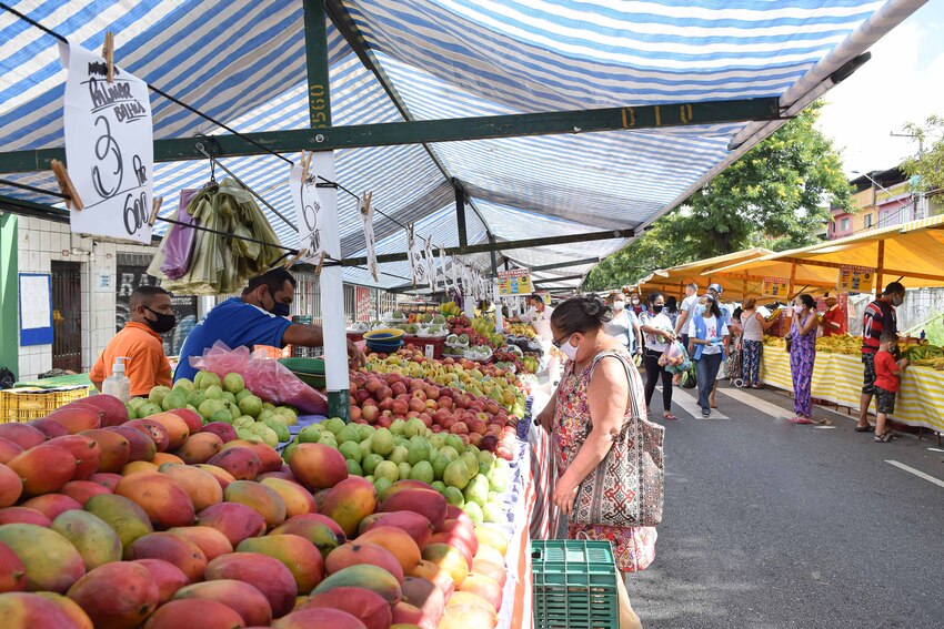 barraca de frutas em feira livre de Diadema