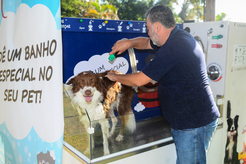 S.Bernardo inova com serviço de autoatendimento de banho para pets nos parques