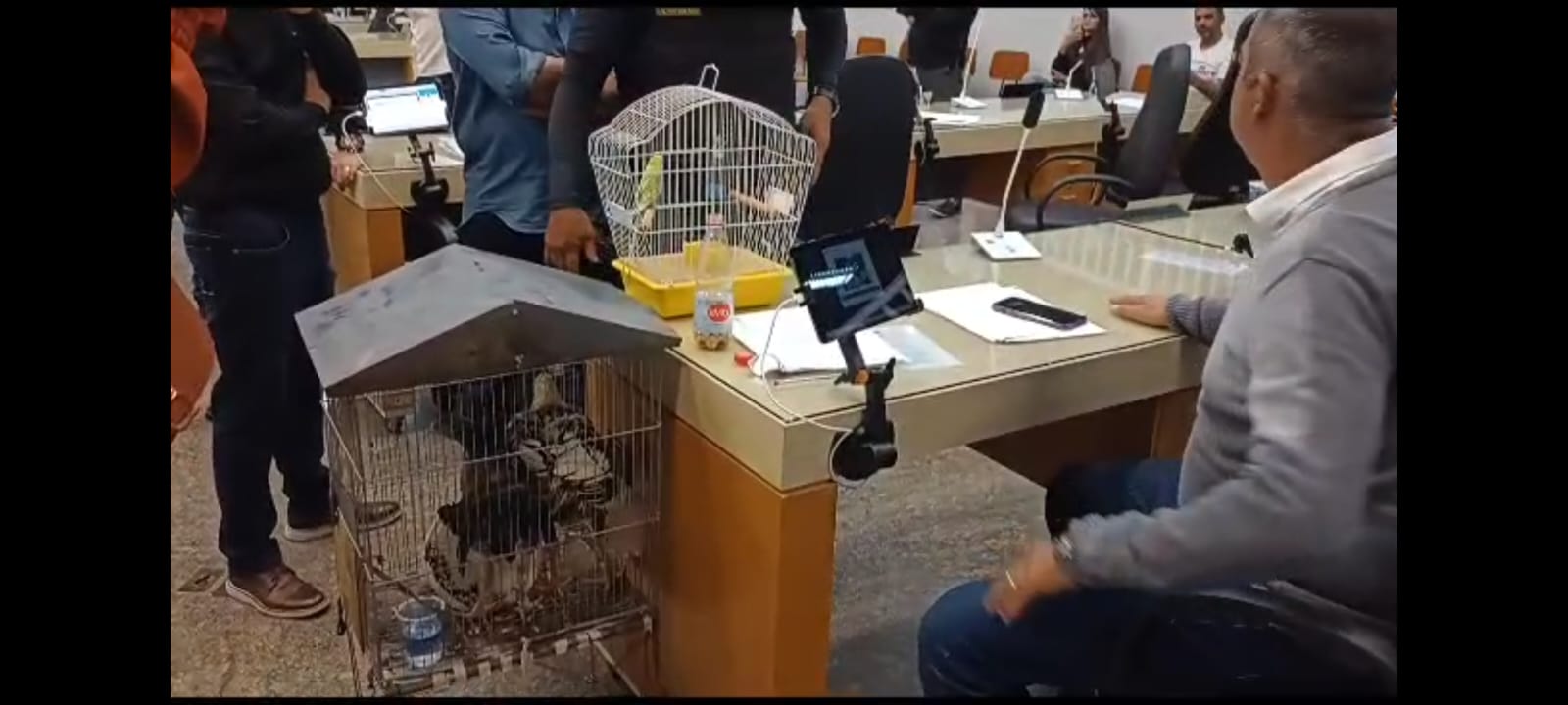 Vídeo: Vereador de Mauá leva galo, galinha e passarinho na sessão para protestar