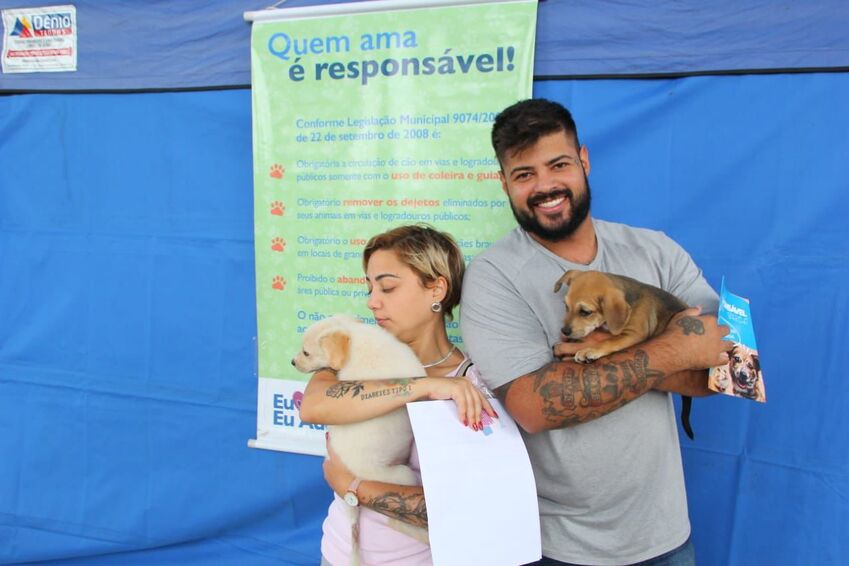 cães adotados em Santo André