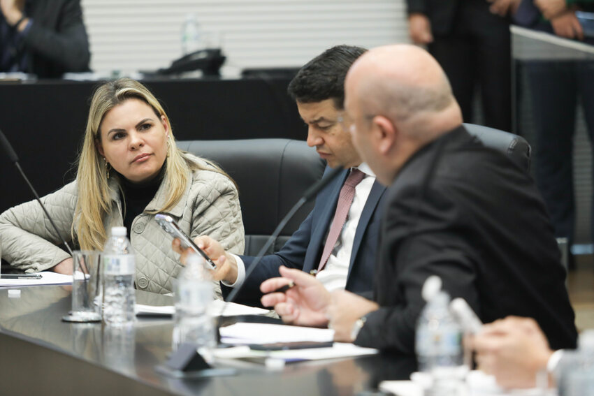 Carla Morando na CPI da Enel