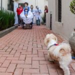 Cachorro em visita pet no Hospital Anchieta