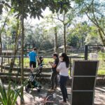 Zoológico de São Brernardo