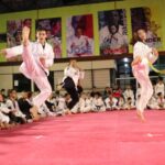 Apresentação de artes marciais