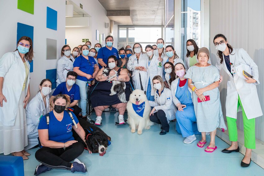 São Bernardo amplia tratamento de pet terapia para o Hospital de Urgência